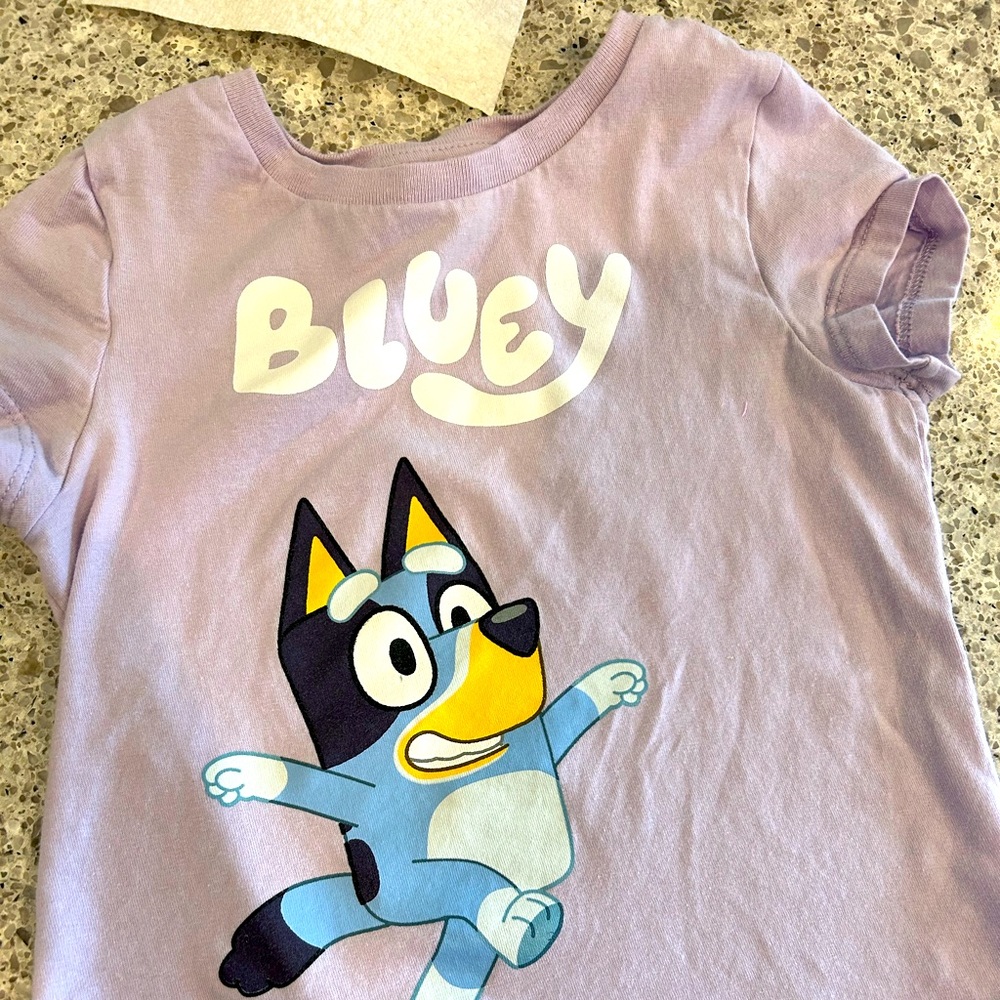 Bluey shirt size 6 girls. Worn three times.